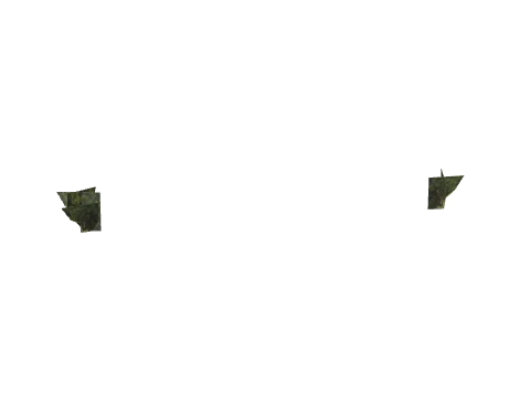 0x07136c2f, a GTA V map model