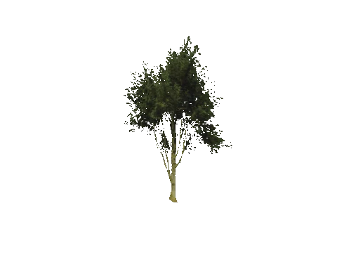 0x55202222, a GTA V map model