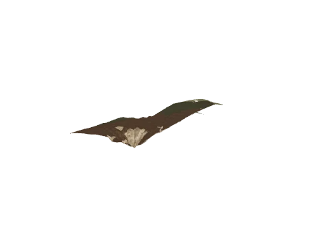 0x6903c441, a GTA V map model