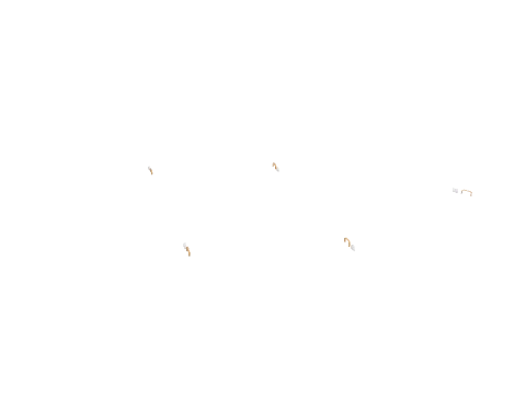 0x8c509f92, a GTA V map model