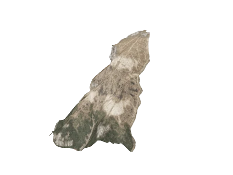 0x98a897b1, a GTA V map model