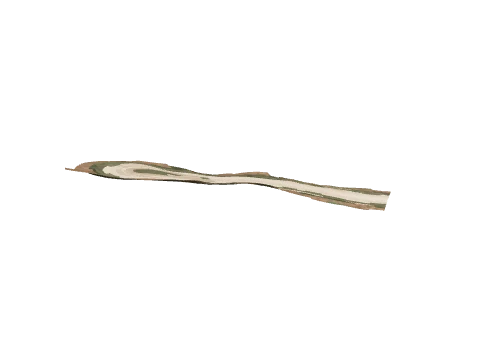 0xd61d097a, a GTA V map model