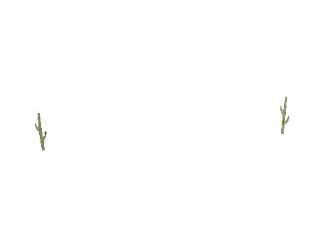 0xe42d3475, a GTA V map model