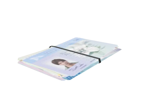 bkr_prop_fakeid_bundledriverl