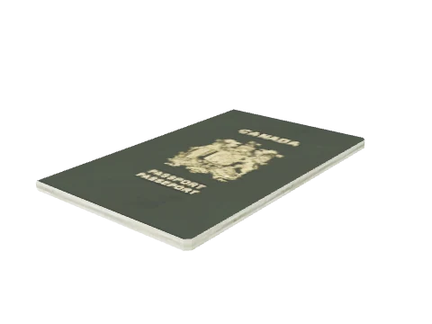 bkr_prop_fakeid_singlepassport