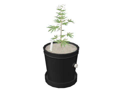 bkr_prop_weed_01_small_01a