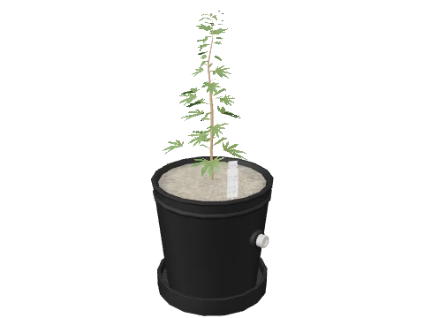 bkr_prop_weed_01_small_01b