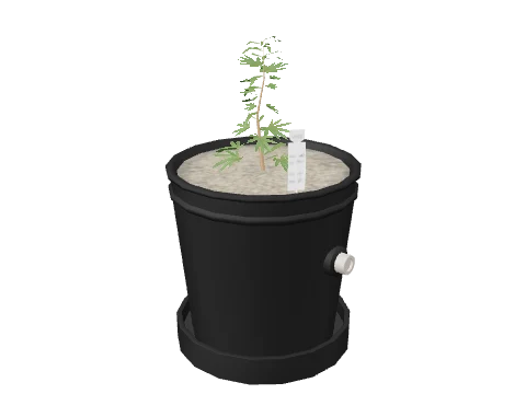 bkr_prop_weed_01_small_01c