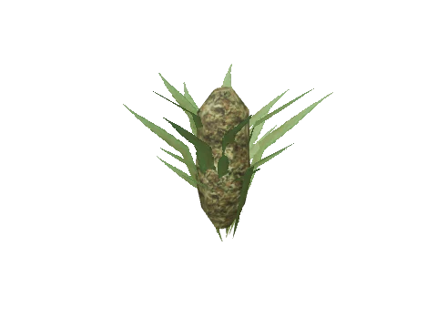 bkr_prop_weed_bud_01b