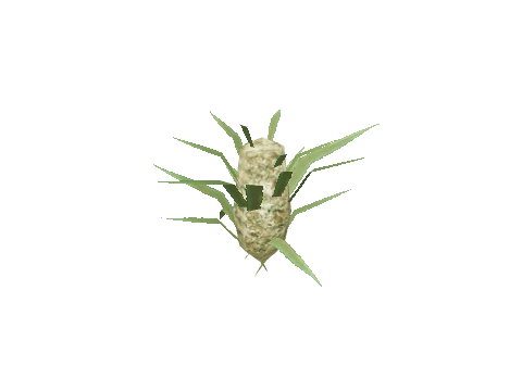 bkr_prop_weed_bud_02b