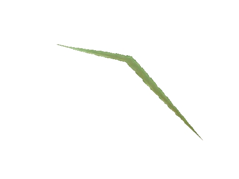 bkr_prop_weed_leaf_01a