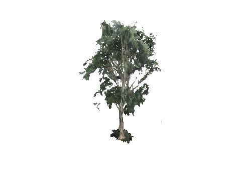 ch1_09b_props_veg23_38_lod, a GTA V map model
