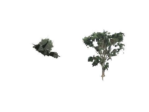 ch1_09b_props_veg25_25_lod, a GTA V map model