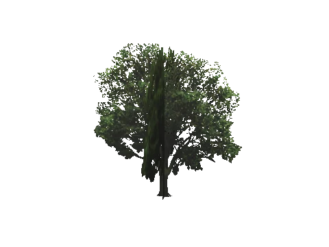ch1_09b_props_veg25_40_lod, a GTA V map model