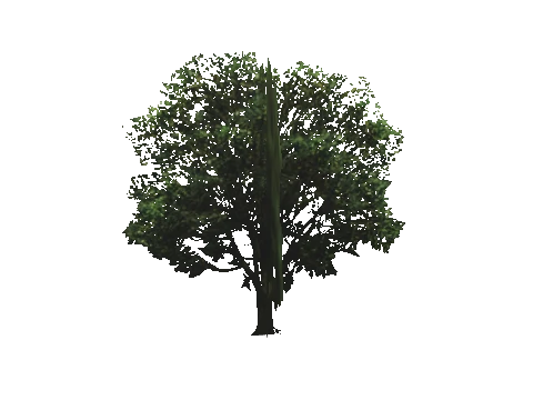 ch1_09b_props_veg25_41_lod, a GTA V map model