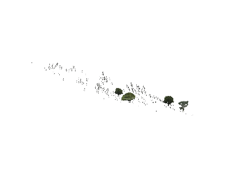 ch1_09b_props_veg25_slod, a GTA V map model