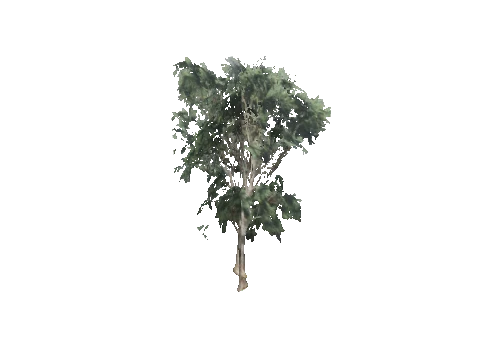 ch1_09b_props_veg26_43_lod, a GTA V map model