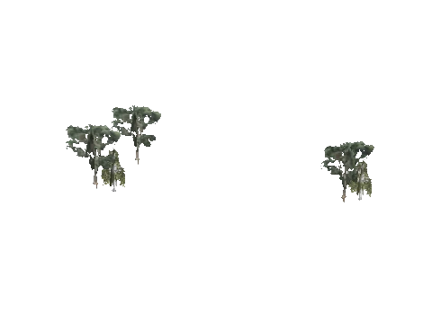 ch1_09b_props_veg26_47_lod, a GTA V map model