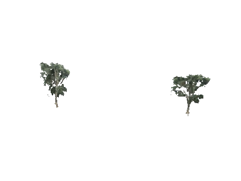 ch1_09b_props_veg26_48_lod, a GTA V map model