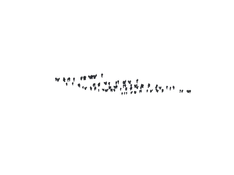 ch1_09b_vinegrapes_05, a GTA V map model