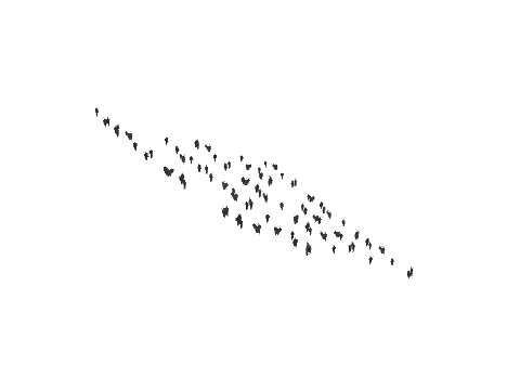 ch1_09b_vinegrapes_09, a GTA V map model