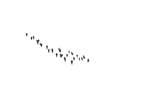 ch1_09b_vinegrapes_10, a GTA V map model