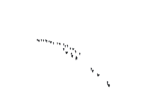 ch1_09b_vinegrapes_16, a GTA V map model