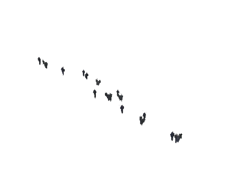 ch1_09b_vinegrapes_17, a GTA V map model