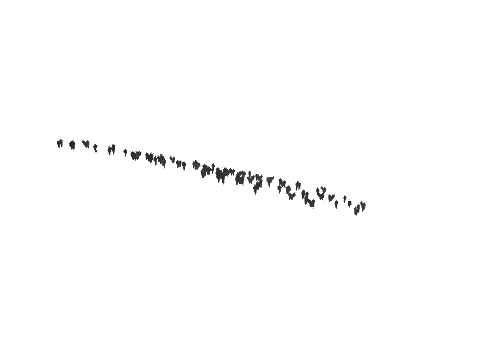 ch1_09b_vinegrapes_19, a GTA V map model
