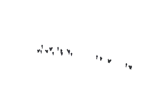 ch1_09b_vinegrapes_46, a GTA V map model