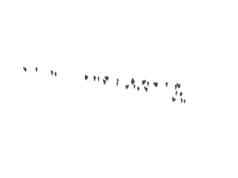 ch1_09b_vinegrapes_51, a GTA V map model