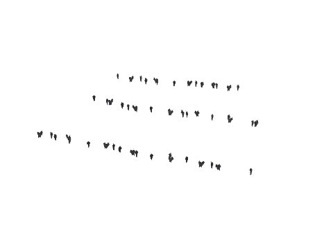 ch1_09b_vinegrapes_57, a GTA V map model