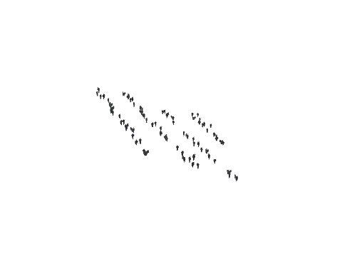 ch1_09b_vinegrapes_84, a GTA V map model