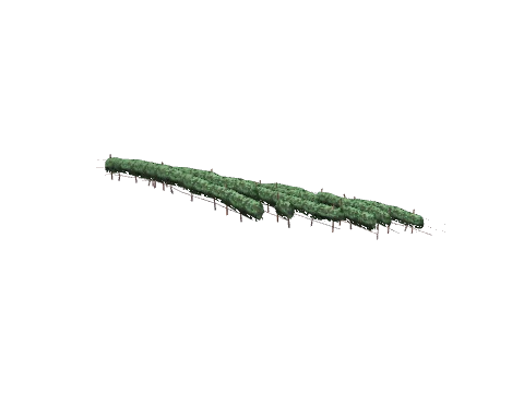 ch1_09b_vines_01, a GTA V map model