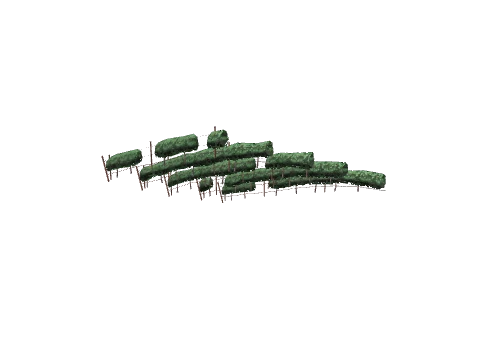 ch1_09b_vines_10, a GTA V map model