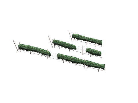 ch1_09b_vines_100, a GTA V map model
