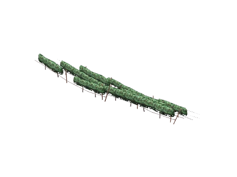 ch1_09b_vines_29, a GTA V map model