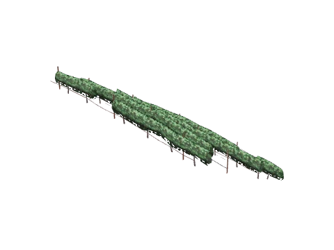 ch1_09b_vines_30, a GTA V map model