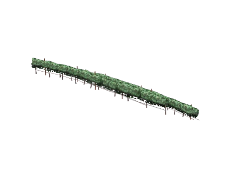 ch1_09b_vines_31, a GTA V map model
