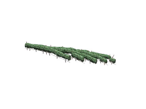 ch1_09b_vines_35, a GTA V map model
