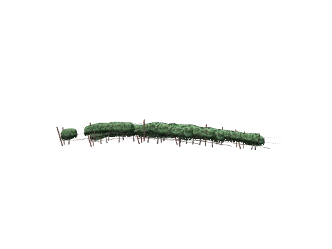 ch1_09b_vines_36, a GTA V map model