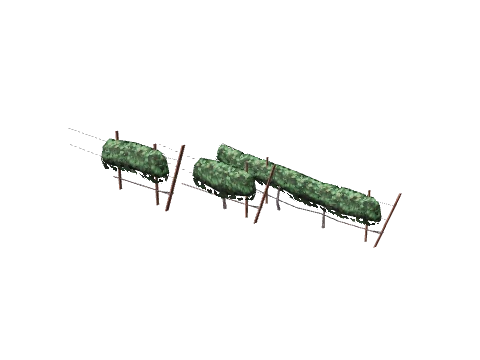 ch1_09b_vines_40, a GTA V map model