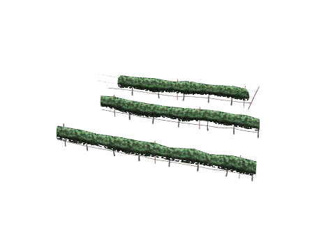 ch1_09b_vines_50, a GTA V map model