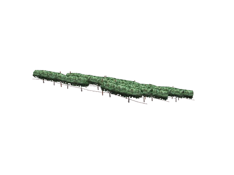 ch1_09b_vines_70, a GTA V map model