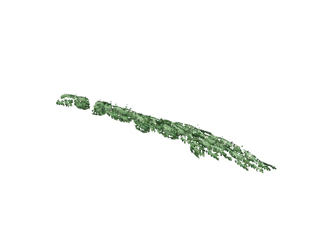 ch1_09b_vinesleaf_13, a GTA V map model