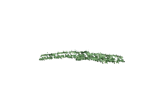 ch1_09b_vinesleaf_16, a GTA V map model