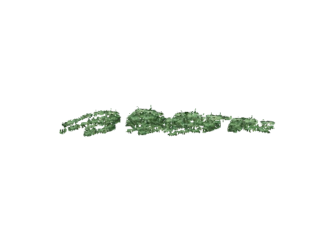ch1_09b_vinesleaf_39, a GTA V map model
