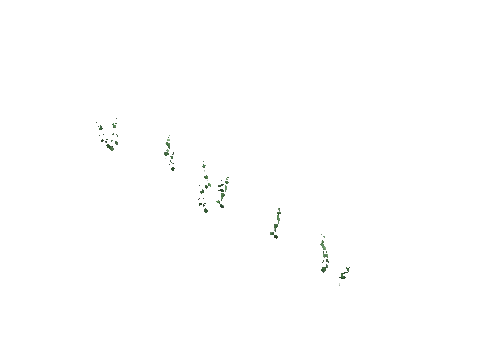 ch1_09b_vineslmbs_18, a GTA V map model