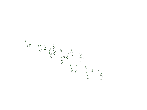 ch1_09b_vineslmbs_44, a GTA V map model