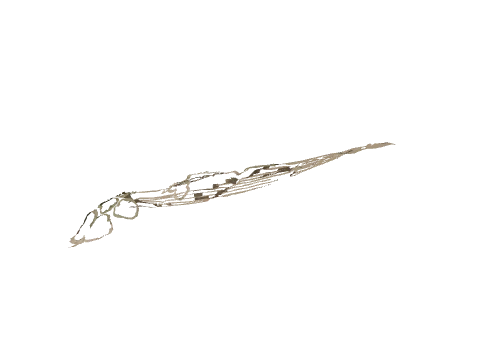ch1_10_dec_01, a GTA V map model